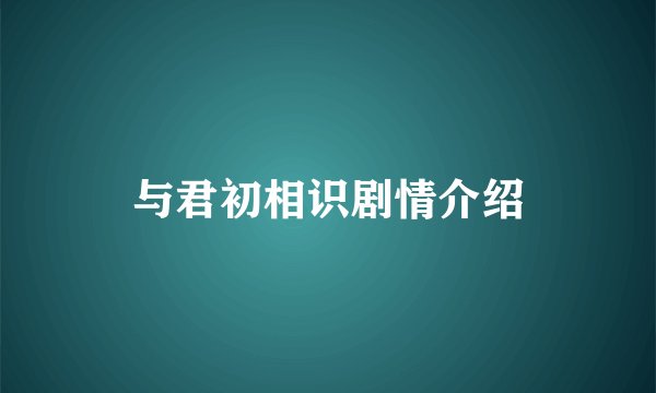 与君初相识剧情介绍