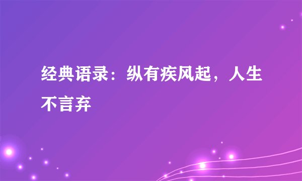 经典语录：纵有疾风起，人生不言弃