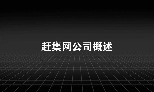 赶集网公司概述