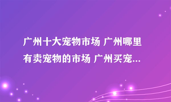 广州十大宠物市场 广州哪里有卖宠物的市场 广州买宠物的地方有哪些