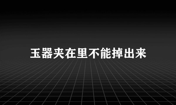 玉器夹在里不能掉出来