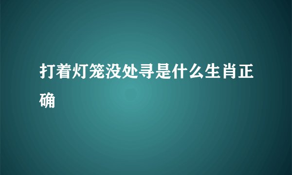 打着灯笼没处寻是什么生肖正确
