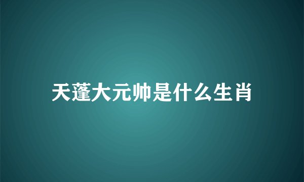 天蓬大元帅是什么生肖