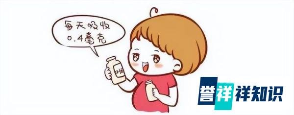 注意！想怀上人类高质量幼崽，男性也要补充叶酸
