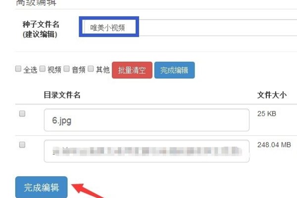 为什么bt下载的种子打不开？