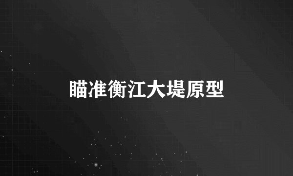 瞄准衡江大堤原型