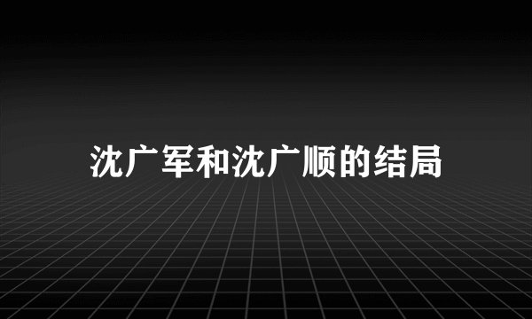 沈广军和沈广顺的结局