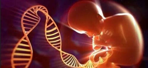 为什么确认132人全部遇难,东航MU5735遇难者DNA是如何比对的?