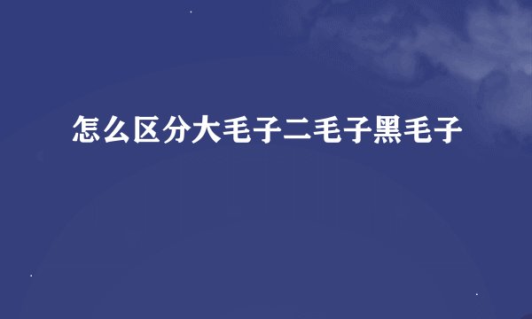 怎么区分大毛子二毛子黑毛子