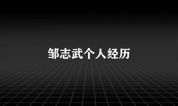 邹志武个人经历