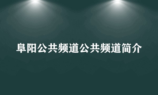 阜阳公共频道公共频道简介
