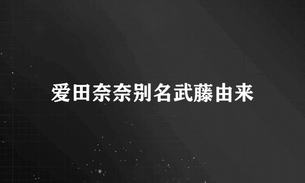 爱田奈奈别名武藤由来