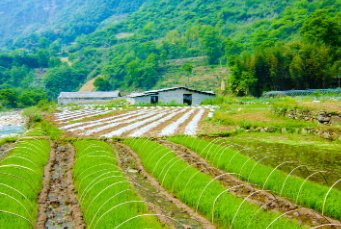 eog是什么意思