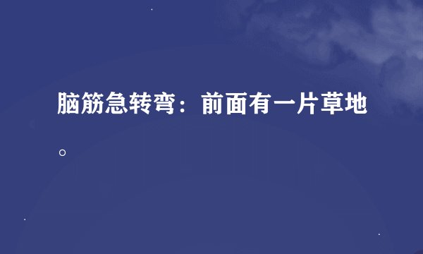 脑筋急转弯：前面有一片草地。