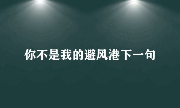 你不是我的避风港下一句