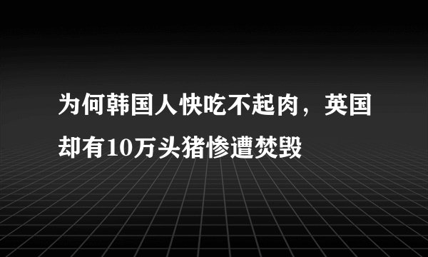 为何韩国人快吃不起肉，英国却有10万头猪惨遭焚毁