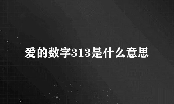 爱的数字313是什么意思
