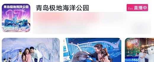 青岛极地海洋世界门票怎么买便宜