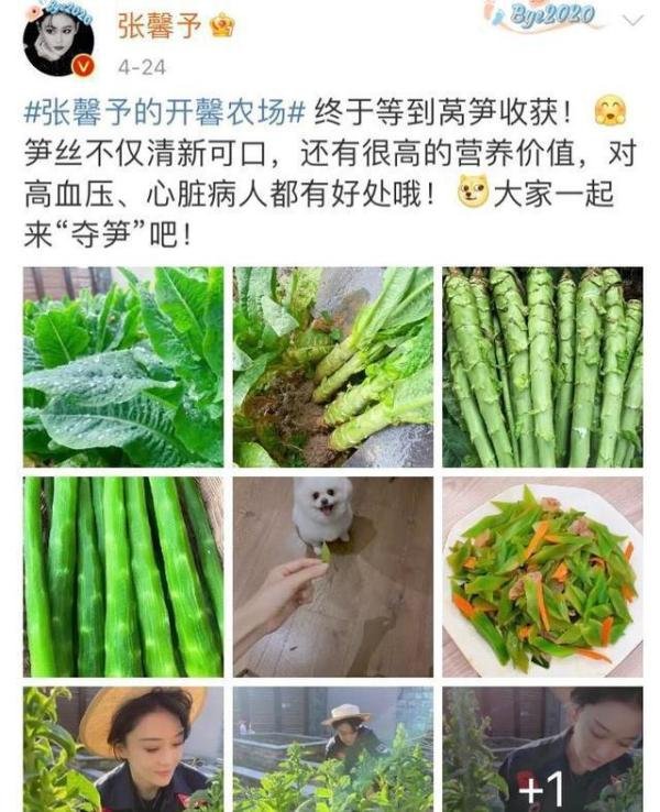 王祖蓝五一只想在家种菜 这是咋情况?