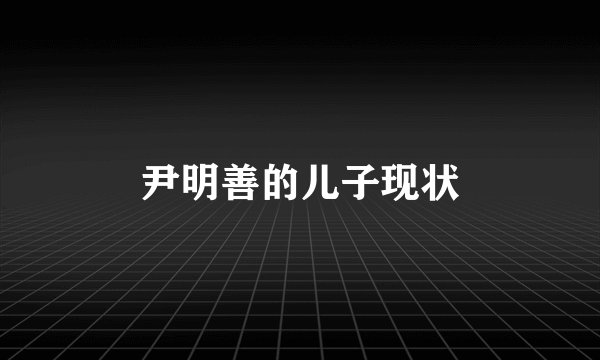 尹明善的儿子现状