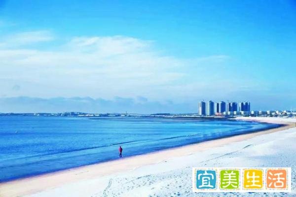 6万拿下一套海景房？年轻人隐居“海边的鹤岗”！
