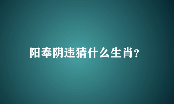 阳奉阴违猜什么生肖？