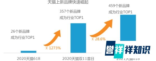 2021双11电商洞察报告