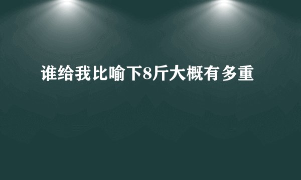 谁给我比喻下8斤大概有多重