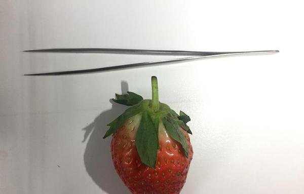 我一口吃了257个……额……草莓