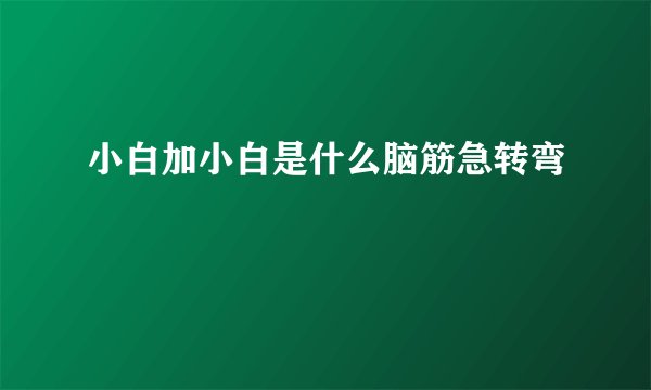 小白加小白是什么脑筋急转弯