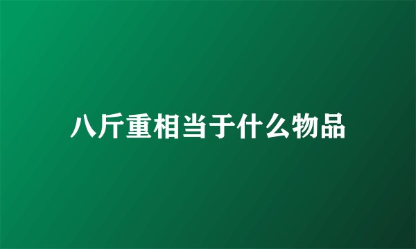 八斤重相当于什么物品