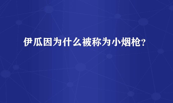 伊瓜因为什么被称为小烟枪？