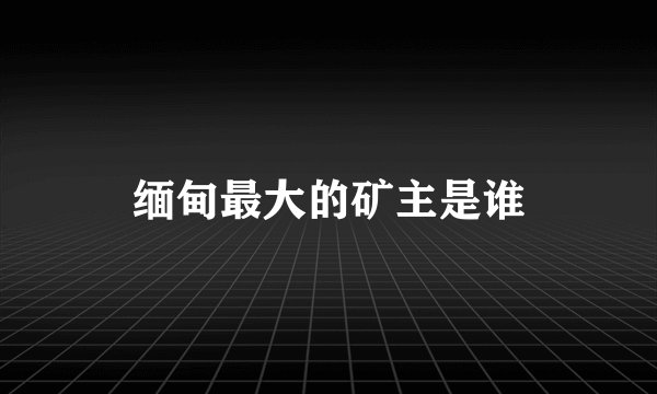 缅甸最大的矿主是谁