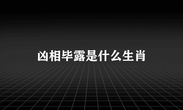 凶相毕露是什么生肖