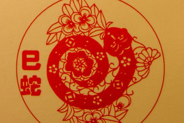南墙四面不透风指什么生肖