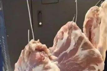 上海一垃圾桶现百斤肉 官方:勿食 这是咋情况？