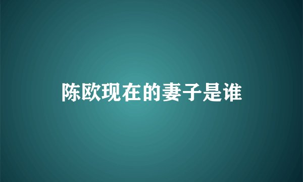 陈欧现在的妻子是谁
