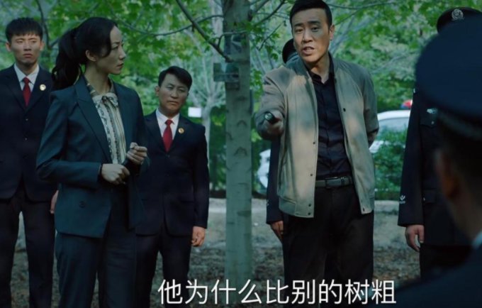 巡回检察组苗苗结局是什么?
