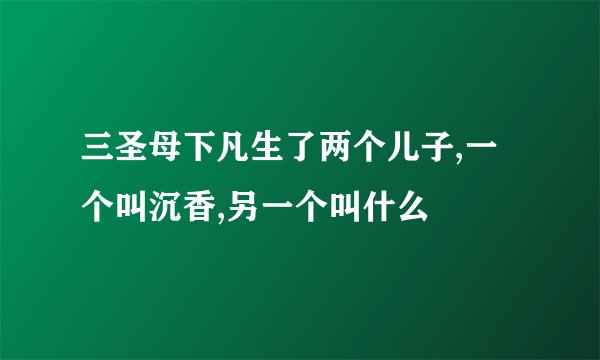 三圣母下凡生了两个儿子,一个叫沉香,另一个叫什么