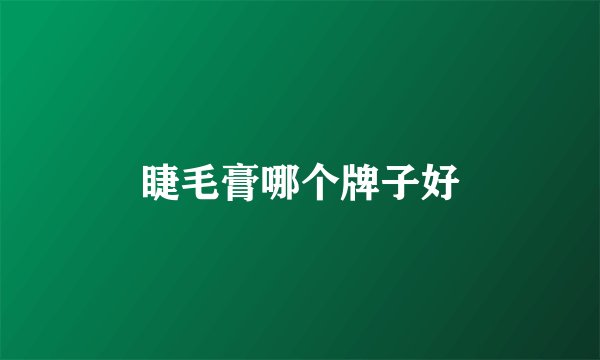 睫毛膏哪个牌子好