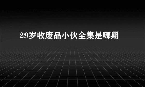 29岁收废品小伙全集是哪期