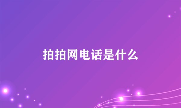 拍拍网电话是什么