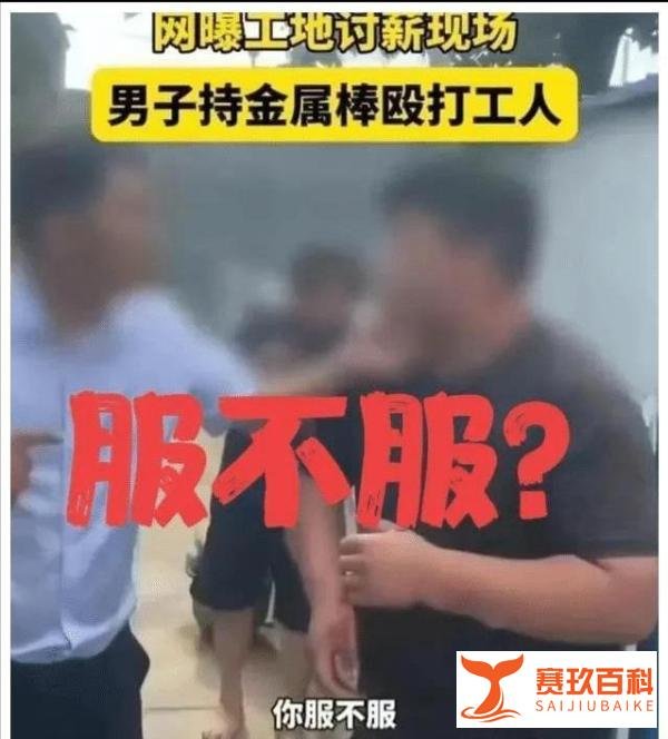 “反了你了”河北农民工讨薪遭暴力殴打，金属棒被打弯，官方回应