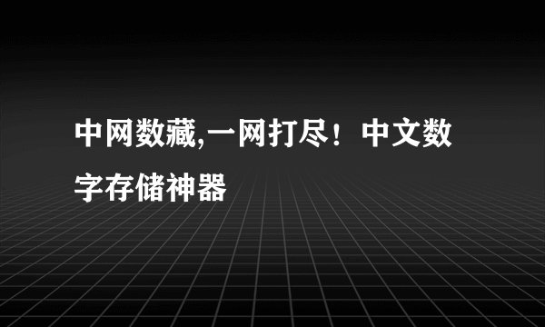 中网数藏,一网打尽！中文数字存储神器