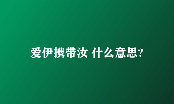 爱伊携带汝 什么意思?