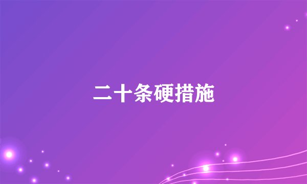 二十条硬措施