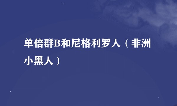 单倍群B和尼格利罗人（非洲小黑人）