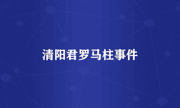 清阳君罗马柱事件