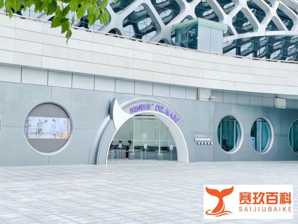 宝安马拉松升级|运动康复助力无伤奔跑！永不停歇