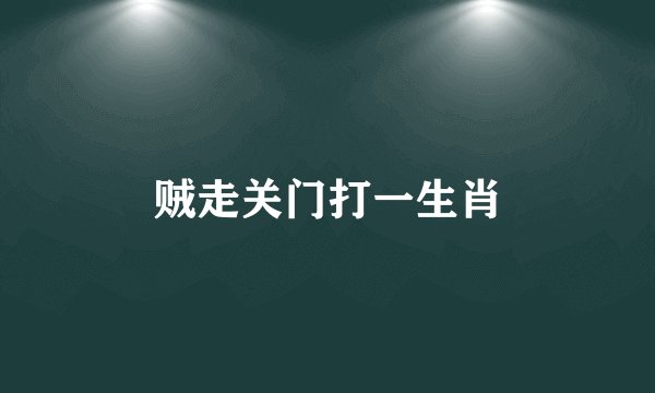 贼走关门打一生肖